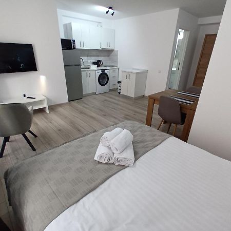 Old Town Studio Apartments Baia Mare Dış mekan fotoğraf