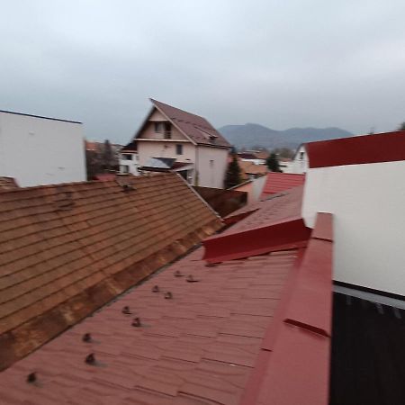 Old Town Studio Apartments Baia Mare Dış mekan fotoğraf