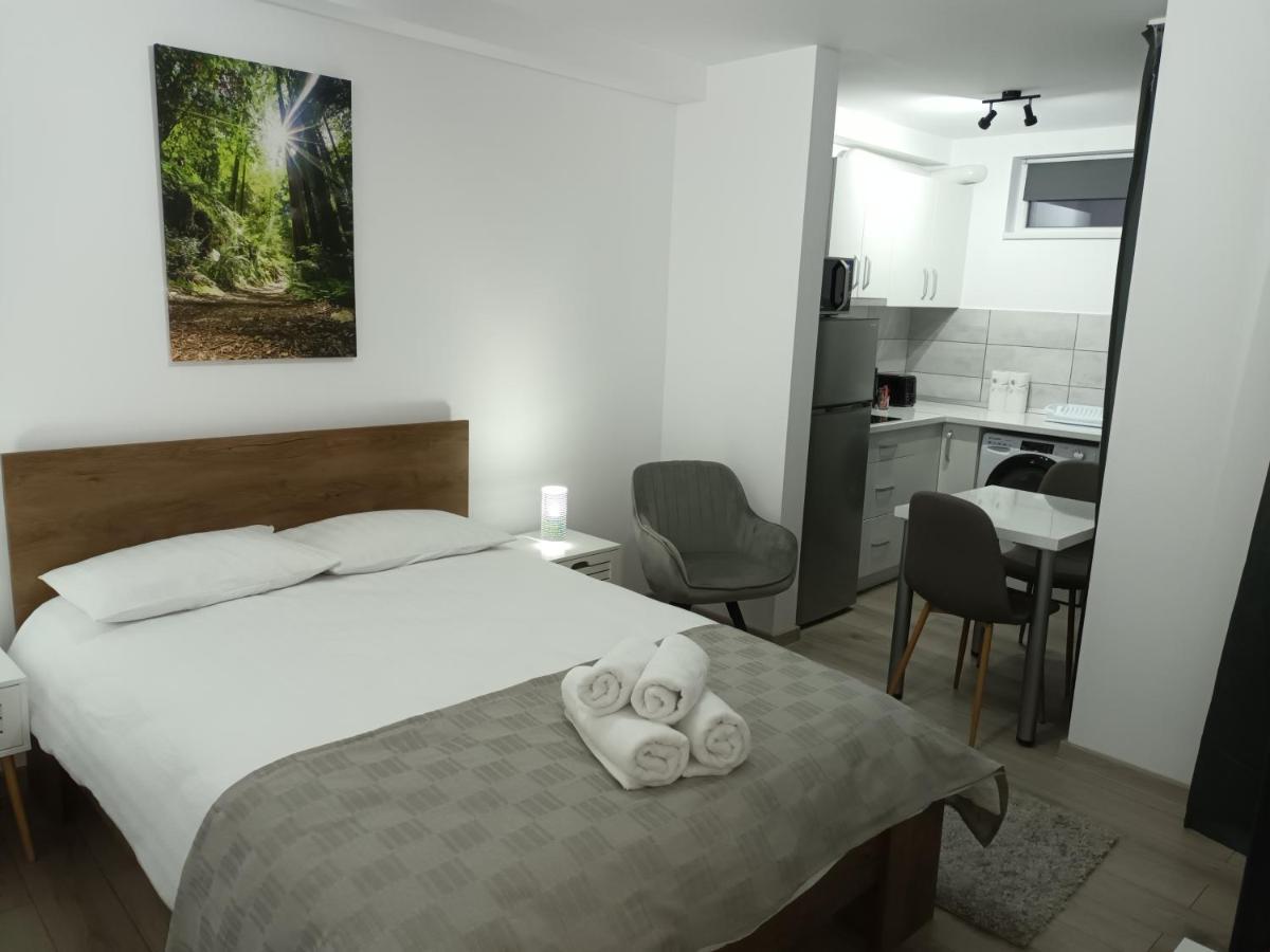 Old Town Studio Apartments Baia Mare Dış mekan fotoğraf