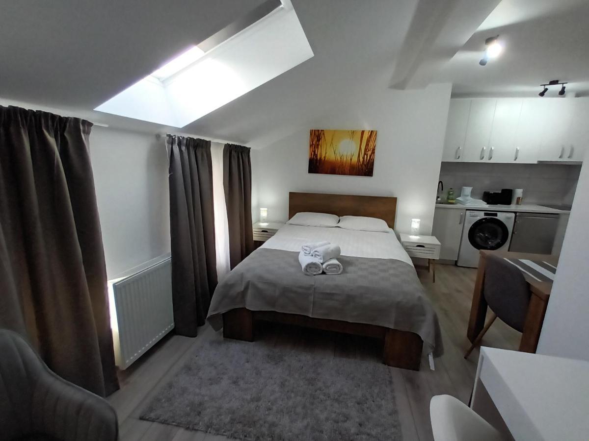 Old Town Studio Apartments Baia Mare Dış mekan fotoğraf