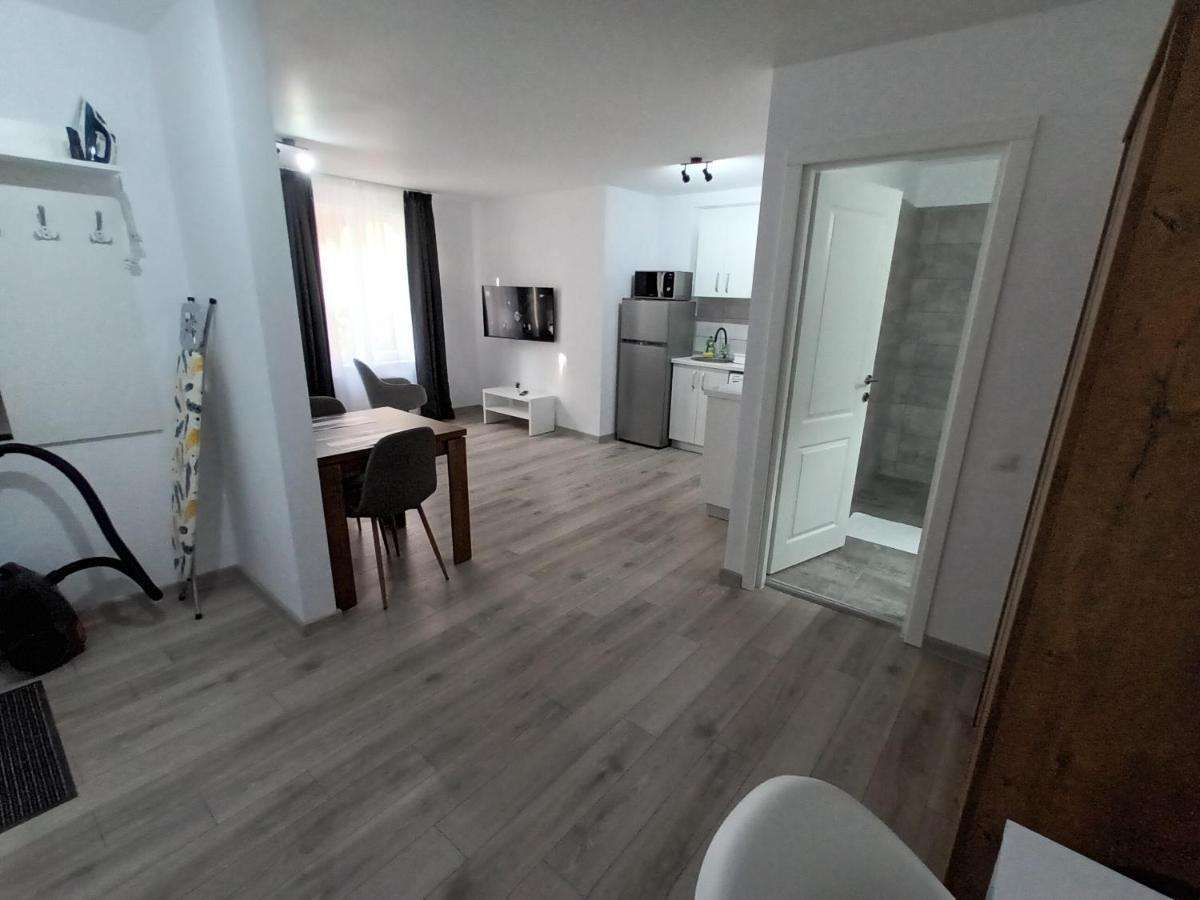 Old Town Studio Apartments Baia Mare Dış mekan fotoğraf