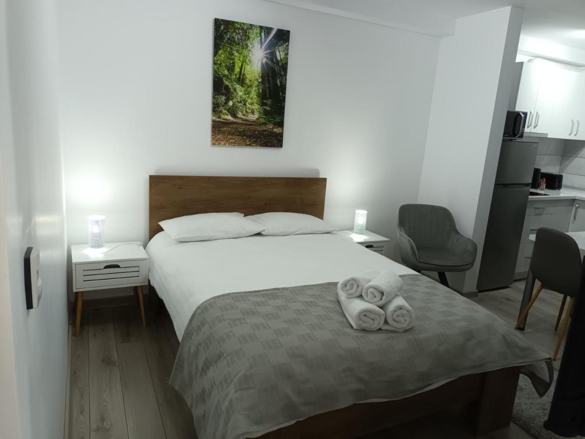 Old Town Studio Apartments Baia Mare Dış mekan fotoğraf