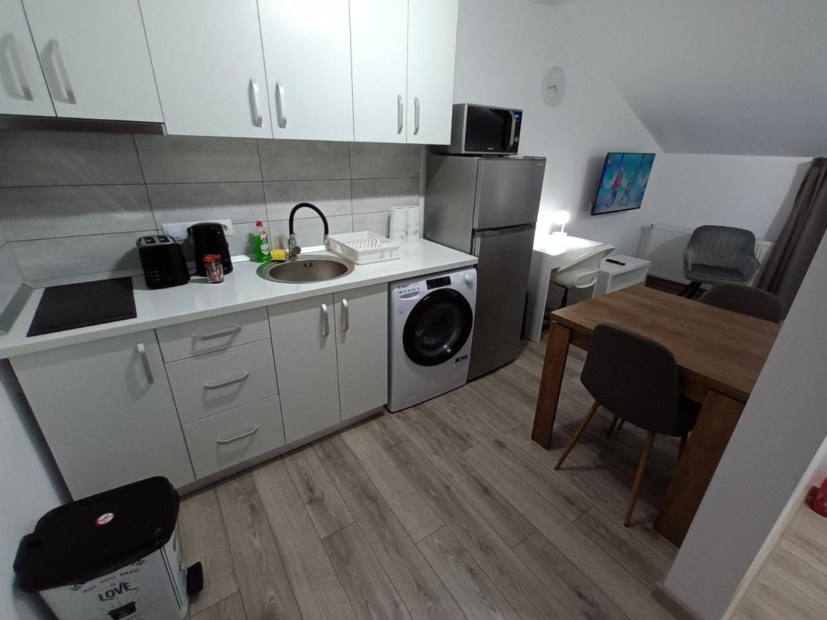 Old Town Studio Apartments Baia Mare Dış mekan fotoğraf