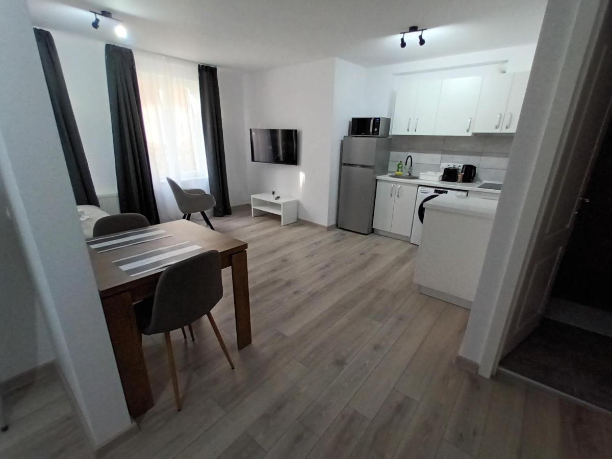 Old Town Studio Apartments Baia Mare Dış mekan fotoğraf