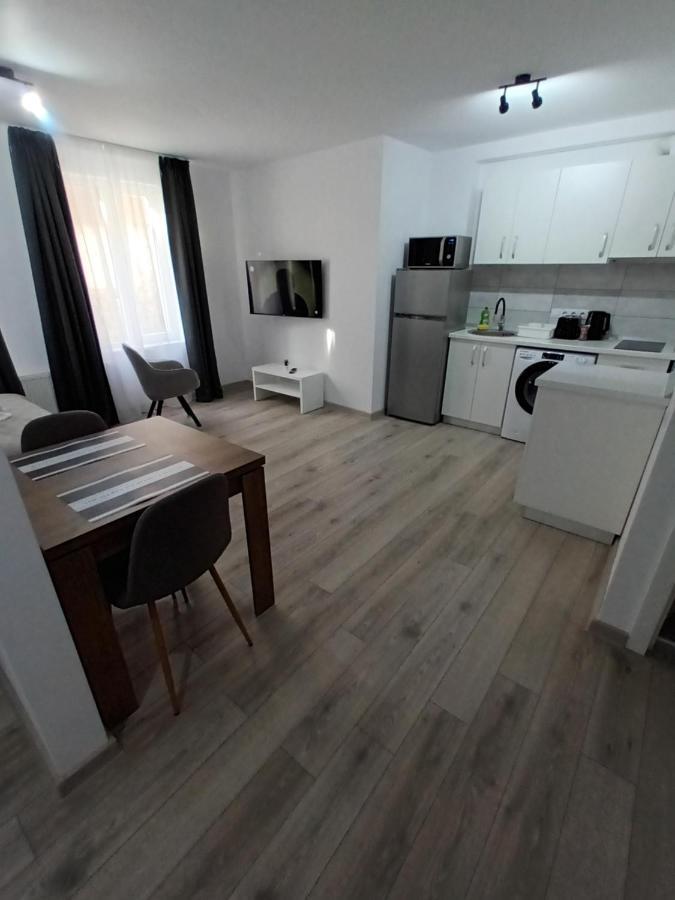 Old Town Studio Apartments Baia Mare Dış mekan fotoğraf