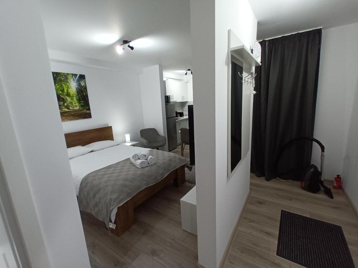 Old Town Studio Apartments Baia Mare Dış mekan fotoğraf