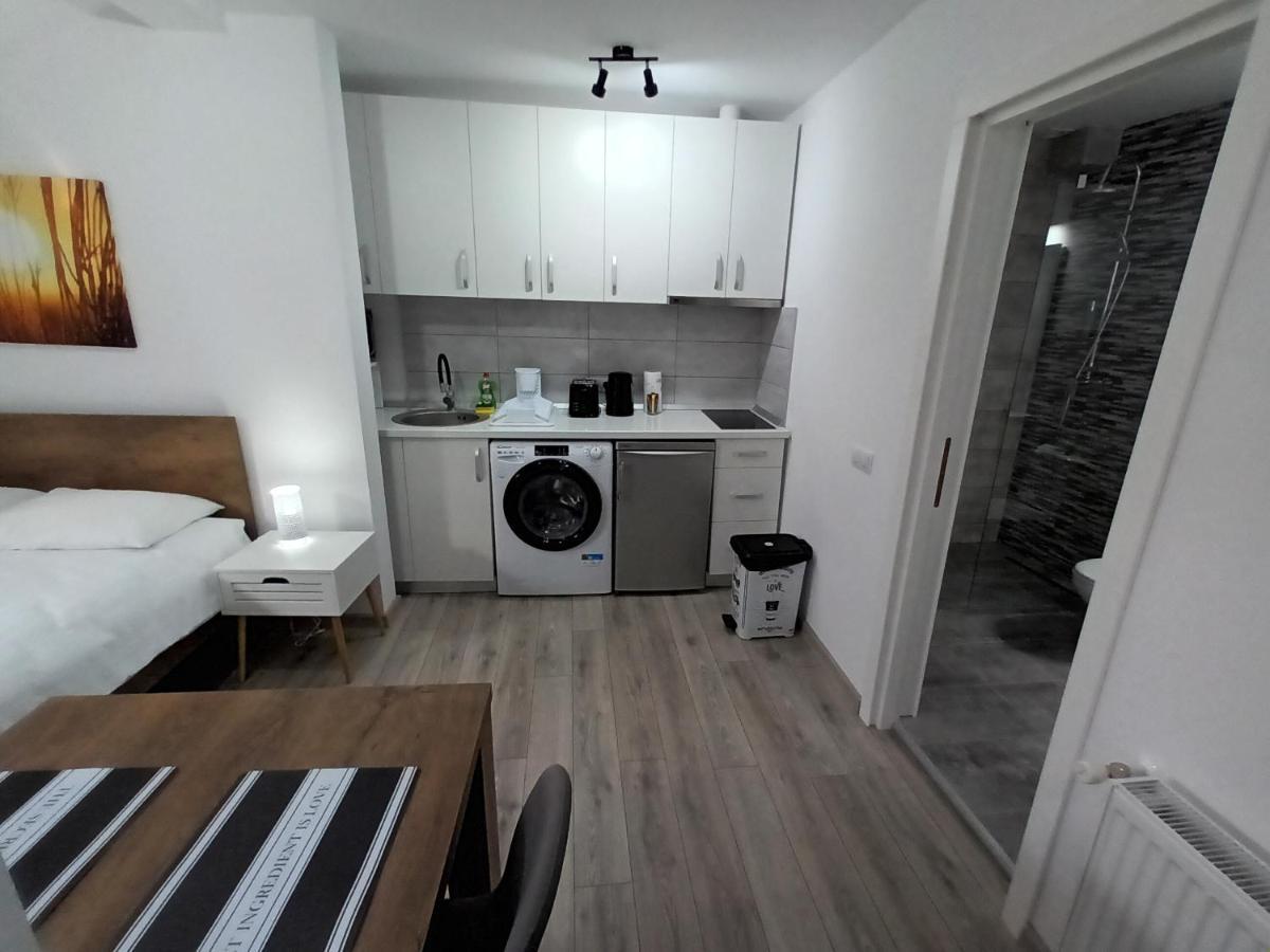 Old Town Studio Apartments Baia Mare Dış mekan fotoğraf