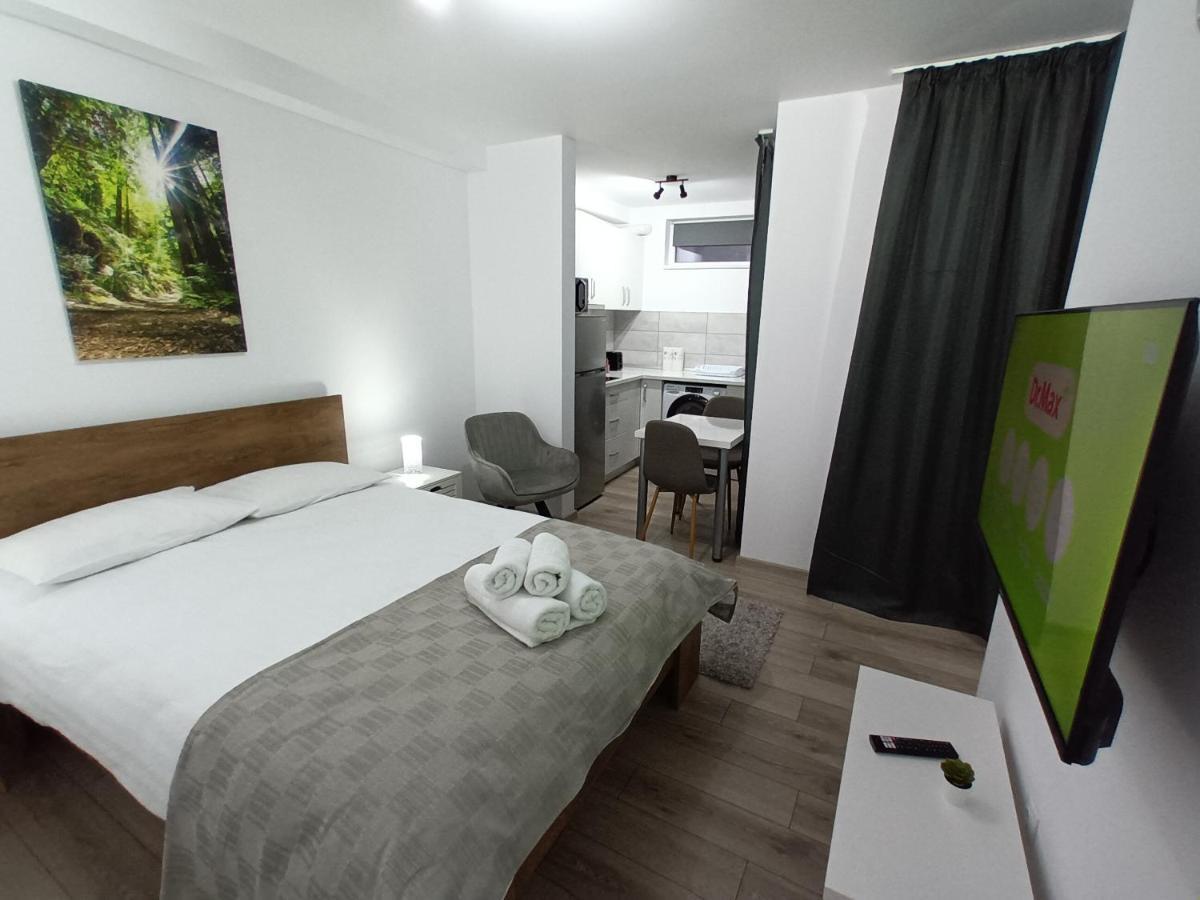 Old Town Studio Apartments Baia Mare Dış mekan fotoğraf